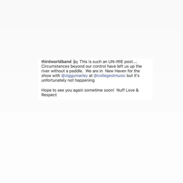 unnamed (11)
